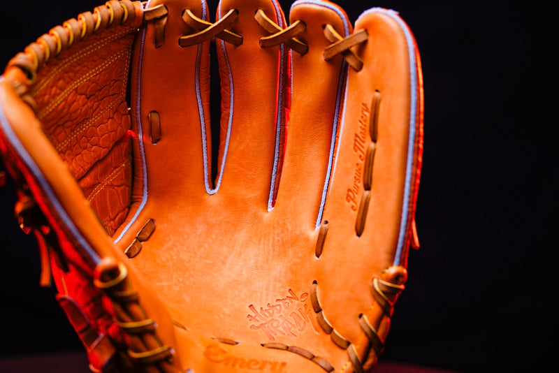 Sunset Gator — image 2