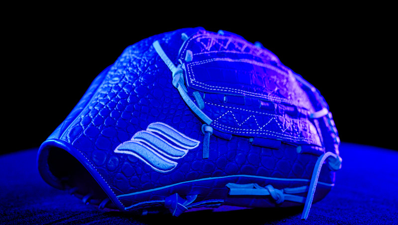 Royal Gator — image 2