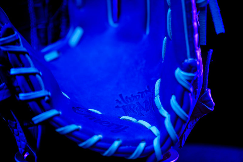 Royal Gator — image 3