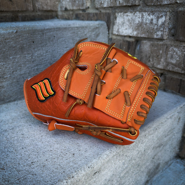 Emery Swamp Series – Sunset Gator